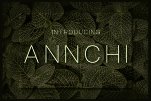 Annchi Font: A Clean, Versatile Typeface for Crafters and Makers