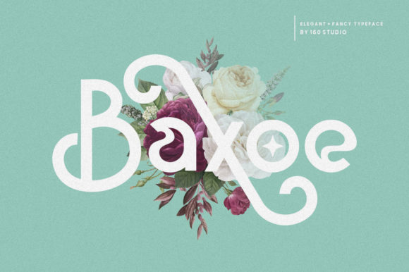Baxoe: The Versatile Sans Serif Font for Clear, Strong Campaigns