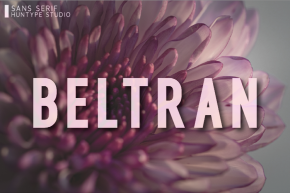 Beltran Font: A Modern Typeface for Digital Design