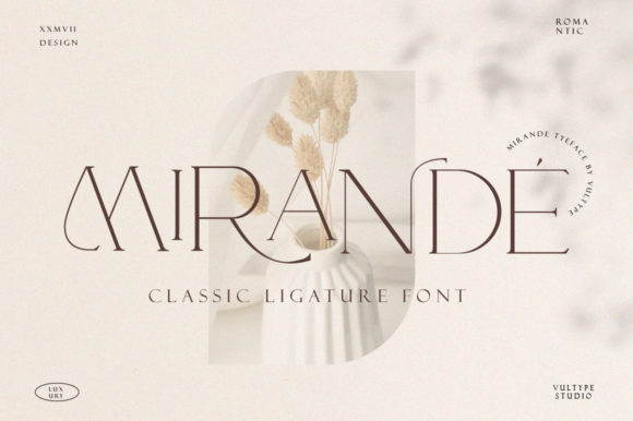 Mirande: A Minimalist Serif Font That Elevates Brand Identity