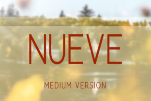Nueve Medium: A Premium Sans Serif Typeface for Editorial Design