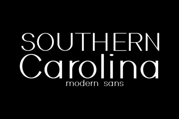 Southern Carolina Font: A Small Business Owner’s Typography Game-Changer