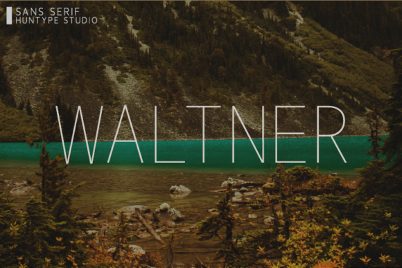 Waltner Typeface: A Versatile Sans Serif for Strong Campaign Design
