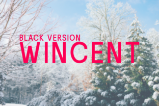 Wincent Black: A Modern Sans Serif Typeface for Friendly Branding
